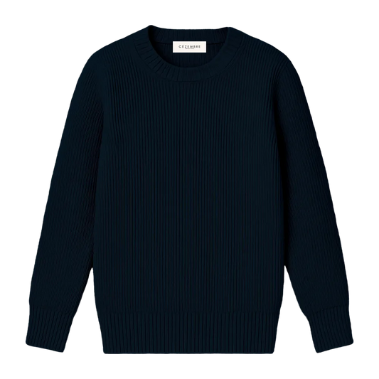 Pull Marine Homme (L/C)